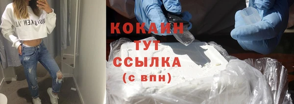 Альфа ПВП Корсаков