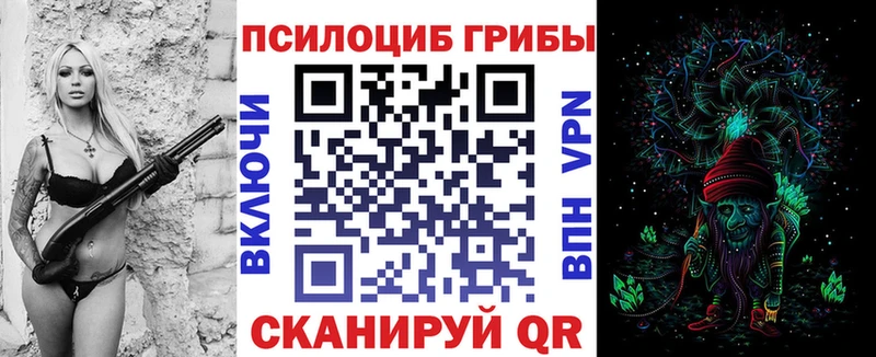 Псилоцибиновые грибы Psilocybe  Купить где  Луховицы 