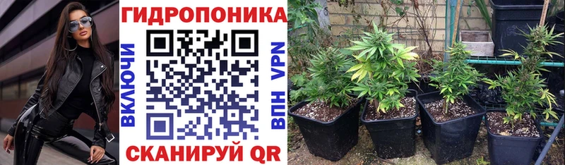Купить где Луховицы Канабис сатива